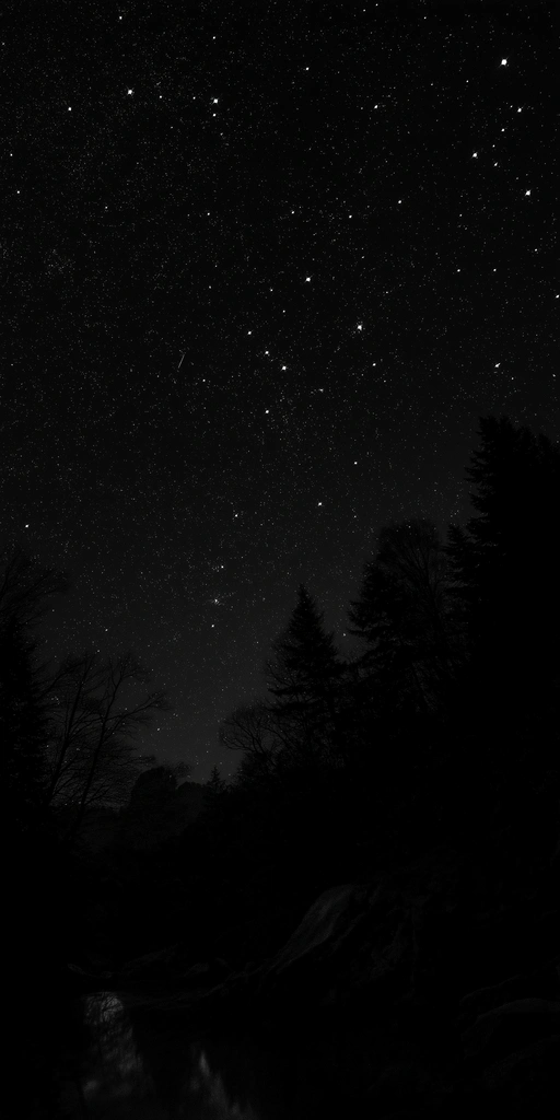 Silent Forest Under the Stars