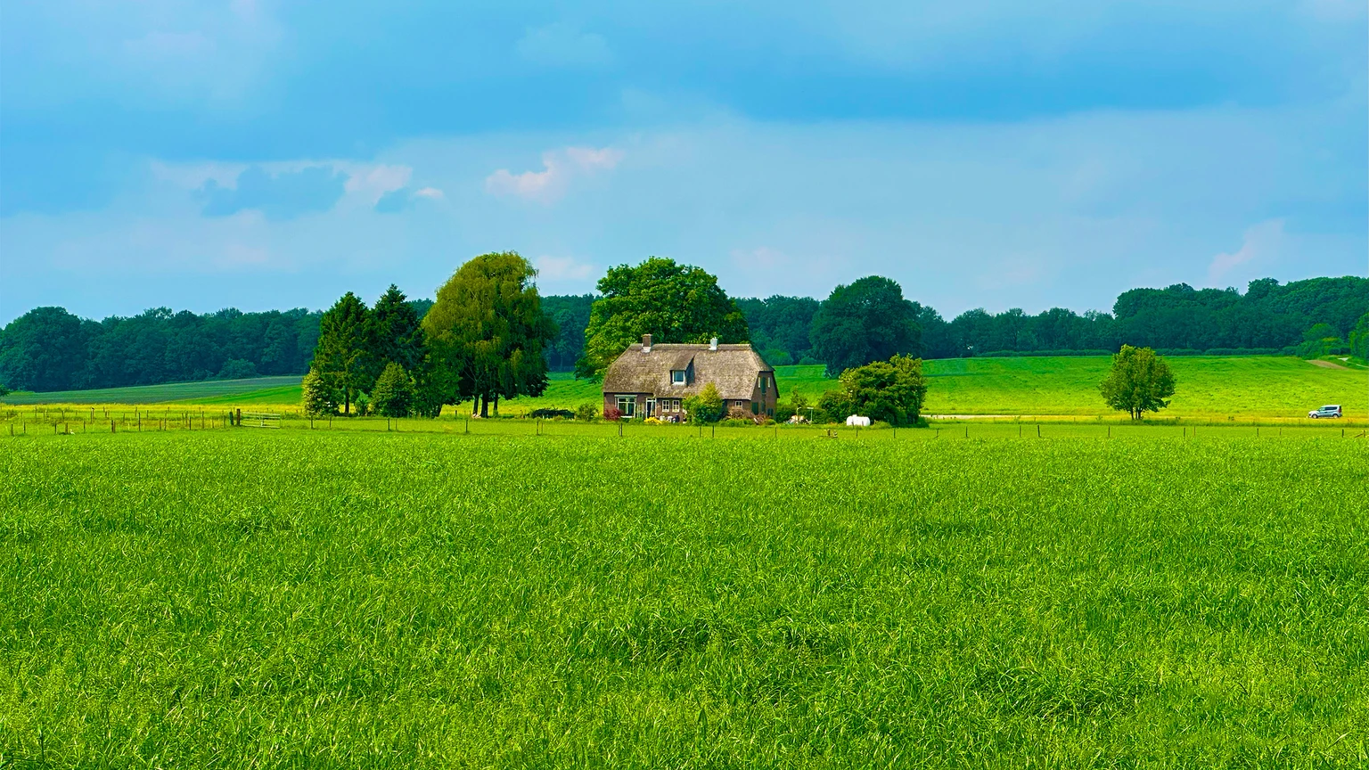 Country House in Green Fields